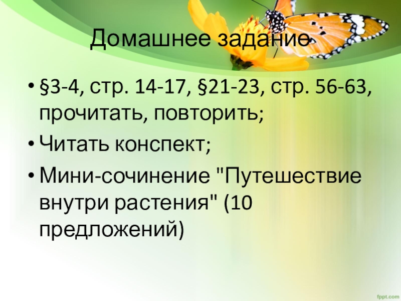 Мини конспект. Сочинение путешествие внутрь клетки. Путешествие внутрь клетки сочинение 5 класс.