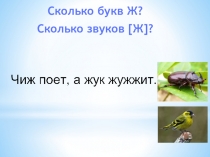 Презентация по русскому языку (обучение грамоте) развивающие задания для 1 класса.