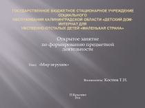 Презентация открытого занятия по формированию предметной деятельности на тему: Мир игрушек