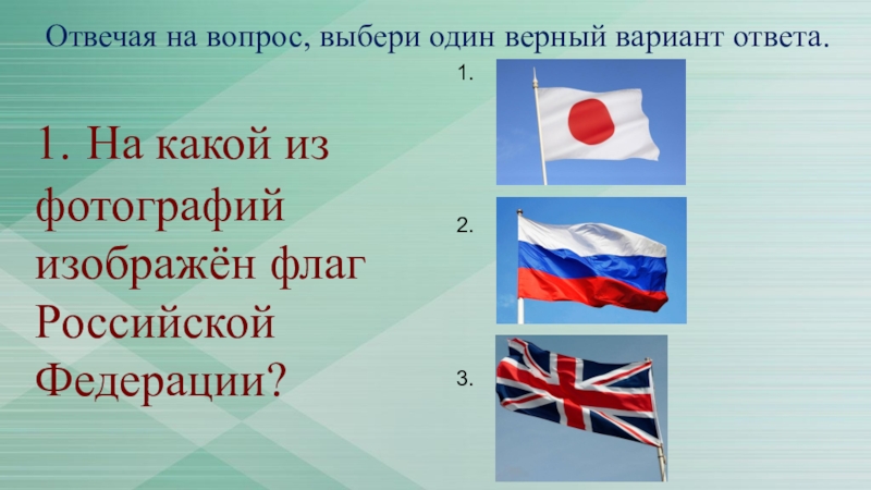 Выберите верный вариант какие списки изображены на картинке