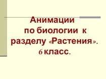 Анимации по биологии к разделу Растения (6 класс).