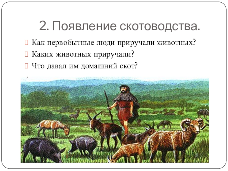 Появляется в описание. Скотоводство первобытных людей. Появление скотоводства. Примитивное скотоводство. Возникновение скотоводства у первобытных людей.