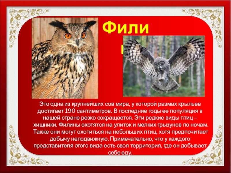 Красная книга иркутской области животные фото и описание