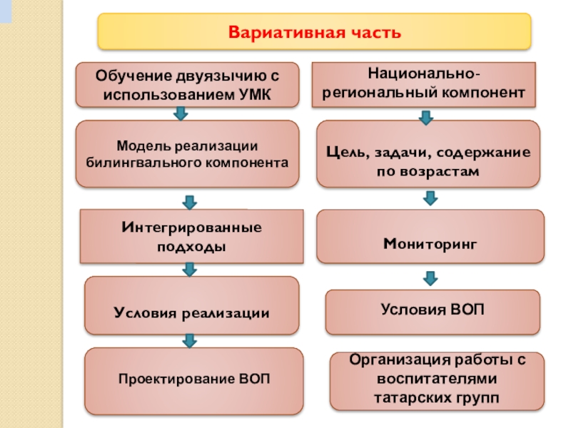 Реализация вариативной части. Вариативные образовательные программы. Вариативные программы обучения и воспитания.