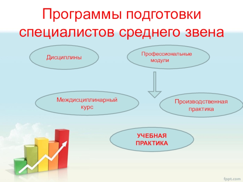 Специальности среднего звена