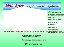 Презентация на Научно-практическую конференцию: Мой друг-пудель!