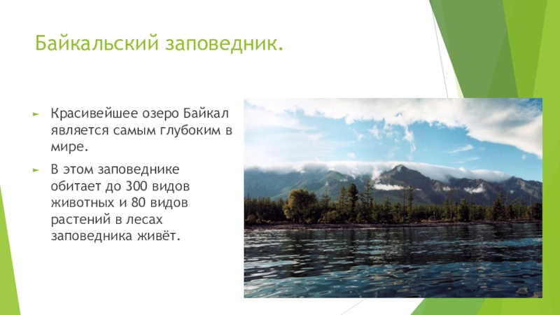 Байкальский заповедник.Красивейшее озеро Байкал является самым глубоким в мире.В этом заповеднике обитает до 300 видов животных и