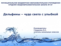 Презентация Дельфины - чудо света с улыбкой выступление научного общества учащихся начальных классов