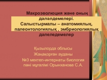 Презентация по биологий на тему  макроэволюция және оның дәлелдемелері