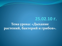 Презентация по биологии 6 класс Дыхание растений, бактерий, грибов