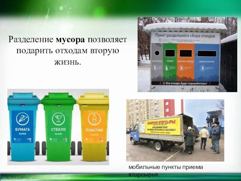 Презентация на тему сбор мусора