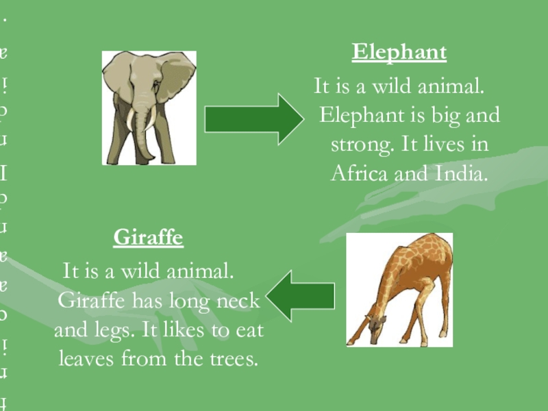 Презентация про диких животных на английском