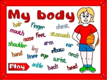 Презентация Parts of the Body