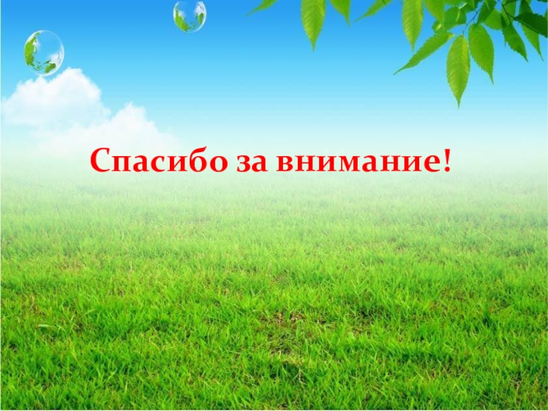 Мир спасибо. Спасибо за внимание экология. Экологическое спасибо за внимание. Спасимбо за внимания эколоогоия. Спасибо за внимание окружающий мир.