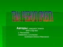 Учебный проект. Уроки милосердия. Наши маленькие друзья
