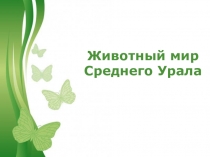 Презентация по окружающему миру  Животный мир Среднего УралаПтицы нашего края