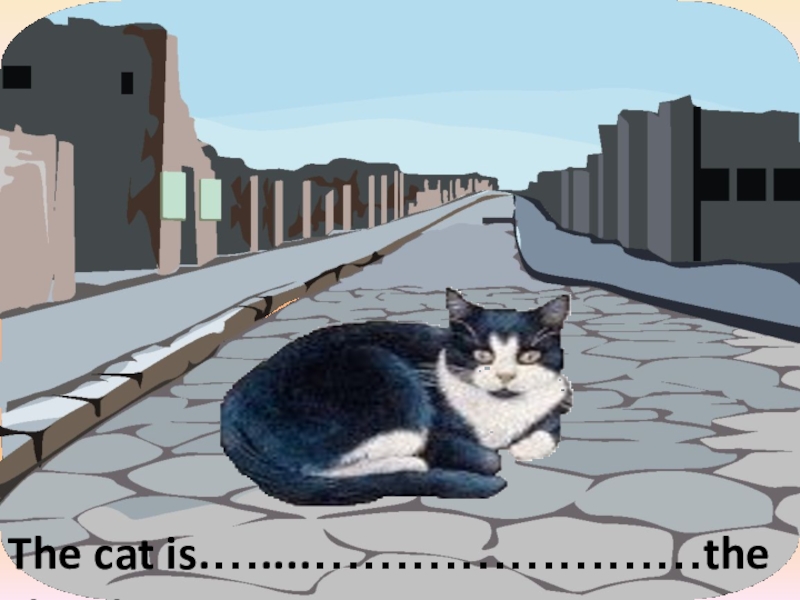 The cat is.…....……………………the street.in the middle of