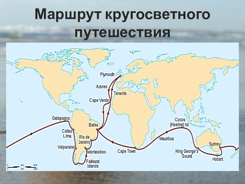 Карта кругосветного путешествия. Кругосветное путешествие Дарвина. Маршрут кругосветного путешествия. Маршрут кругосветного путе.