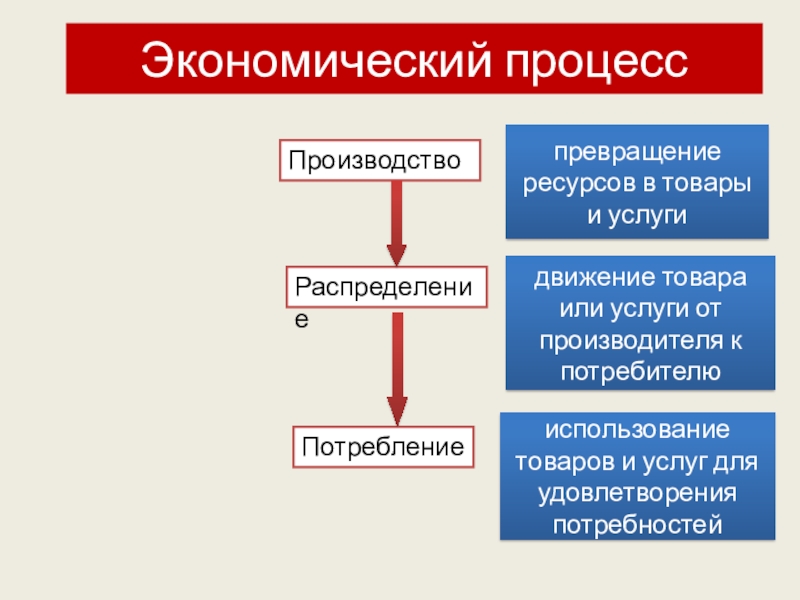 Экономическое движение. Экономические процессы. Этапы экономического процесса. Стадии экономического процесса. Виды экономических процессов.