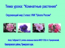 Презентация к уроку окружающего мира для 2 класса по теме Комнатные растения