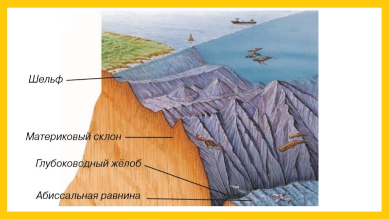 Строение дне. Шельф, материковый склон, материковое подножие. Строение дна мирового океана Геология. Строение морского дна. Строение дна моря.