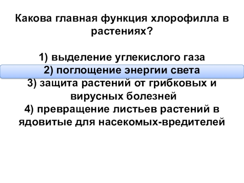 Какова главная. Функции хлорофилла. Хлорофилл функции в растениях. Главная функция хлорофилла в растениях. Какова Главная функция хлорофилла в растениях.