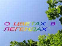 Презентация :  Легенды о цветах