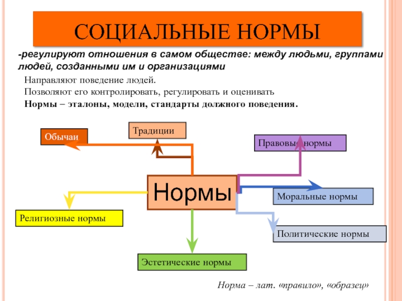 Нормы регулирующие поведение человека в обществе