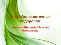 Презентация по биологии Одноклеточные водоросли 10 класс (прикладной курс)