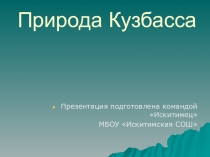 Презентация по географии на тему Природа Кузбасса 8 класс