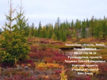 Презентация по краеведению на тему Мой Ямал