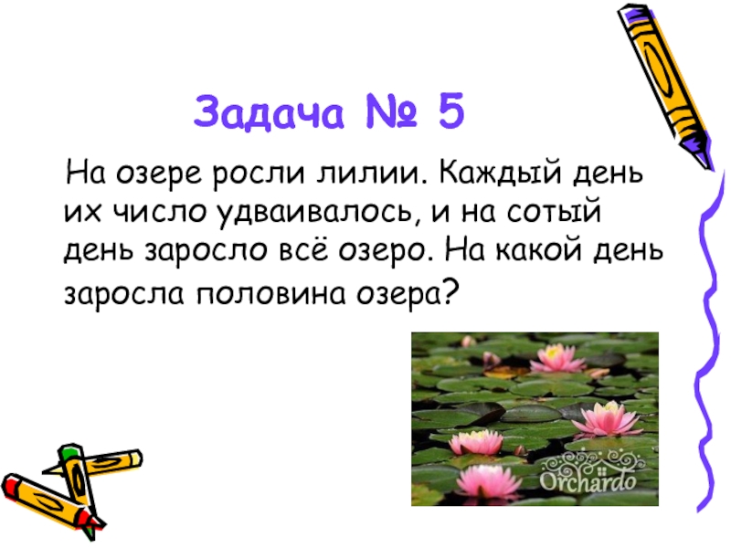 На озере росло. Задача про озеро и кувшинки. На озере росли лилии, каждый день ихчисло. На пруду растут лилии задачи на логику. Задача про лилии на озере 137 дней.