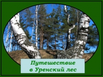 Презентация по окружающему миру на тему Путешествие в уренский лес