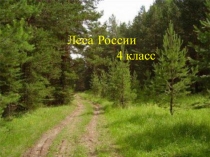 Презентация по окружающему миру на тему Леса России (4 класс)