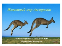 Презентация по окружающему миру Животный мир Австралии(2 класс)Бартусевич Владислав