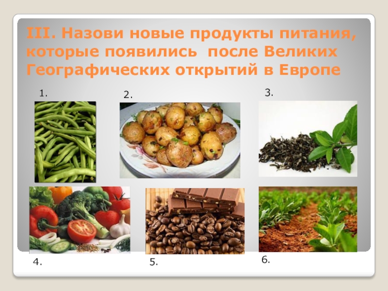 Нова продукт. Новые продукты питания. Великие географические открытия продукты. Какие появились продукты после ВГО. Перечислите новые продукты питания, которые появились в XIX веке.