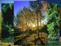 Презентация к занятию по внеурочной деятельности Богатства края