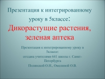Презентация к интегрированному уроку биология и английский язык Дикорастущие растения. Зеленая аптека. 5 класс