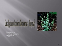 Презентация кпо биологии на тему Семейство Крестоцветные