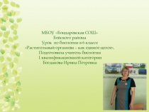 Презентация к уроку по теме: Организм растения – единое целое, 6 класс