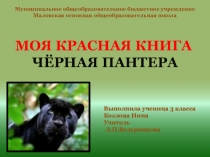 Урок по окружающему миру презентация Пантера Красная книга России