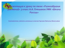 Презентация и разработка урока по окружающему миру на тему Разнообразие растений (3 класс)