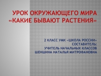 Презентация по окружающему миру: Какие бывают растения