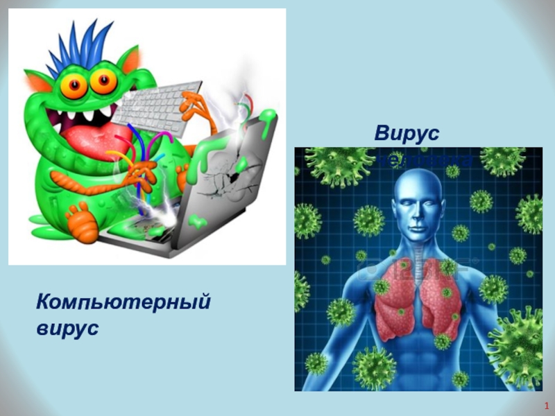 Вирусы живые или неживые