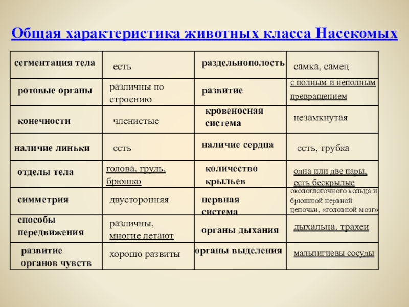 Общая характеристика насекомых кратко