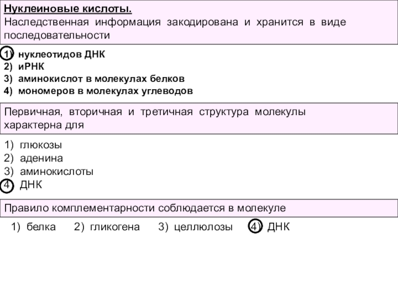 В днк закодирована информация о