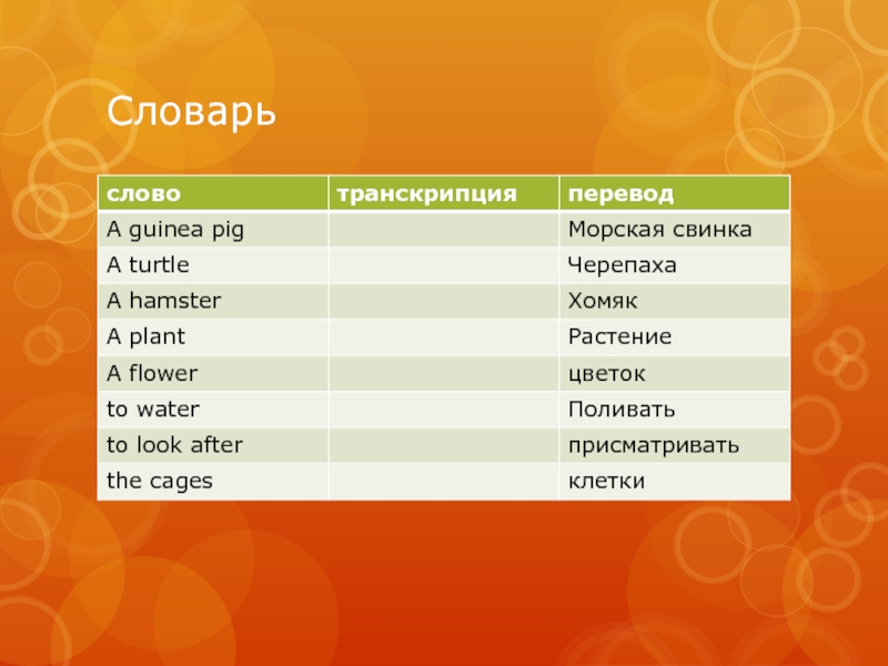 Cage перевод. Транскрипция английских слов морская Свинка. Словарь слово транскрипция перевод. Guinea Pig транскрипция. Черепаха на немецком произношение.