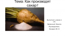 Презентация к работе Как производят сахар?