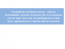 Открытый урок Ассиметрия головного мозга