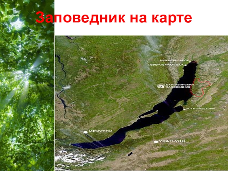 Баргузинский заповедник карта заповедника